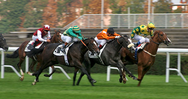 2010フランス競馬スケジュール