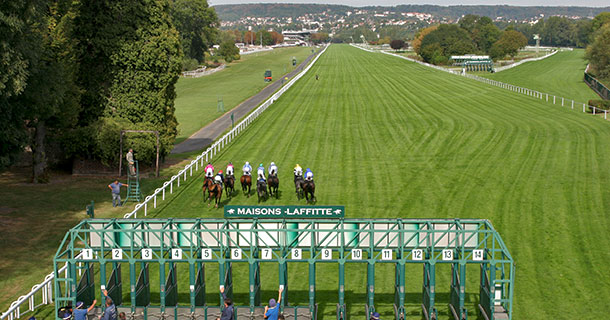 メゾンラフィット競馬場