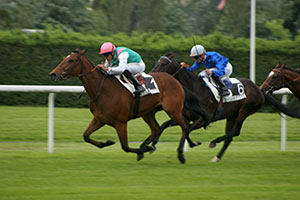 メゾンラフィット競馬場