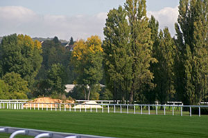 メゾンラフィット競馬場