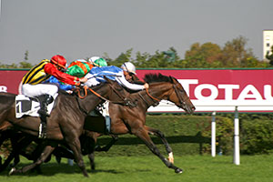 サンクルー競馬場
