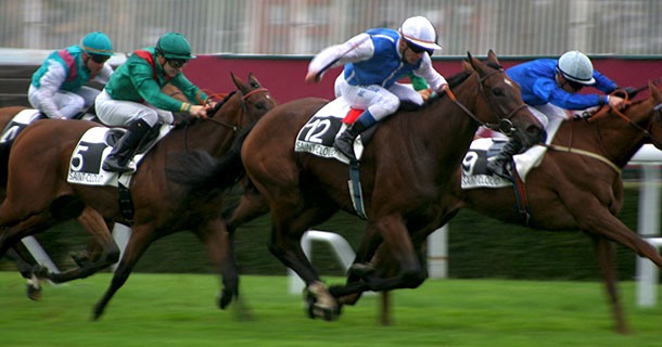 「競馬　写真」の画像検索結果