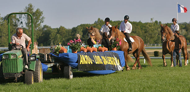 フランスの障害競馬