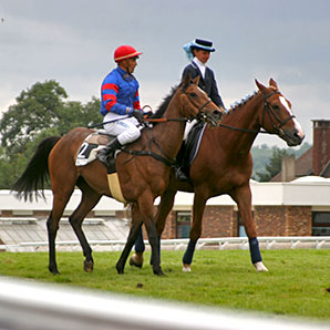 フランスの障害競馬