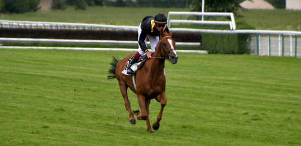 フランスの障害競馬