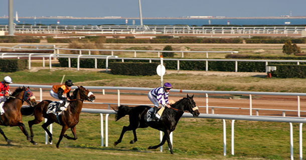 フランス地方競馬旅行